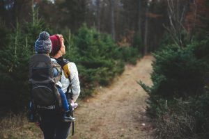 Best Hikes in Zion National Park